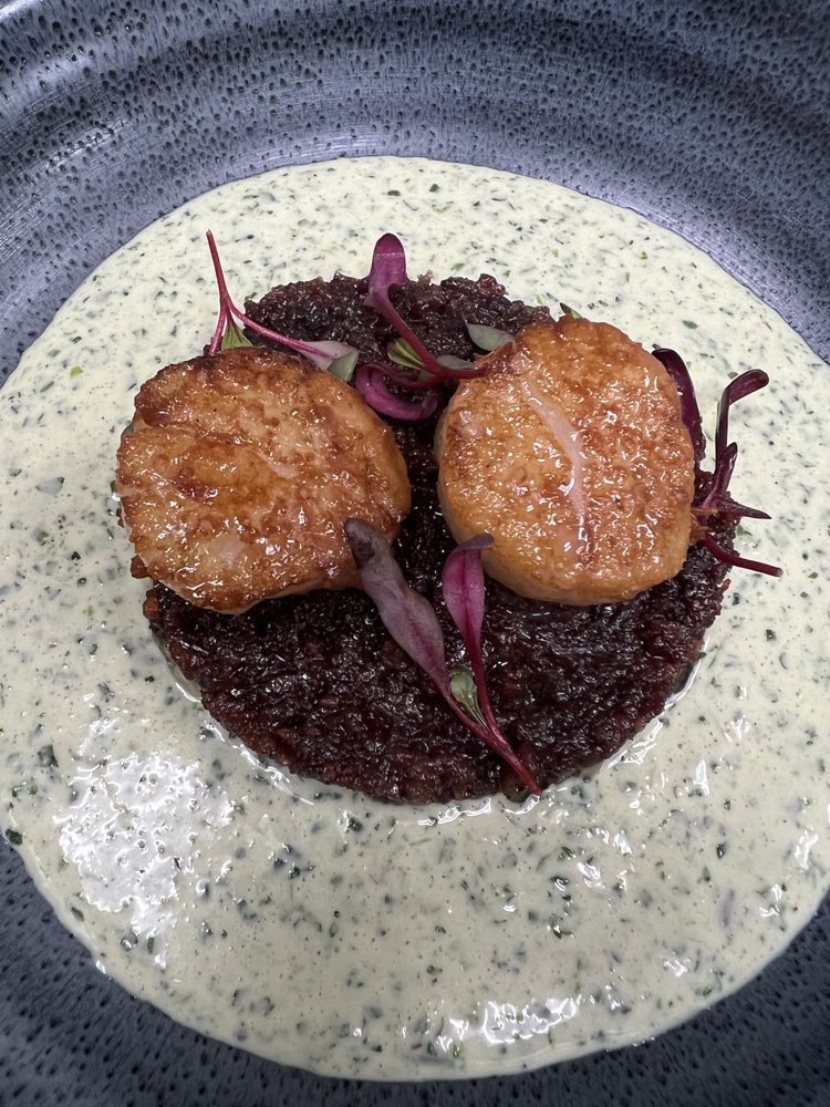 Seared scallops over black quinoa with herb cream